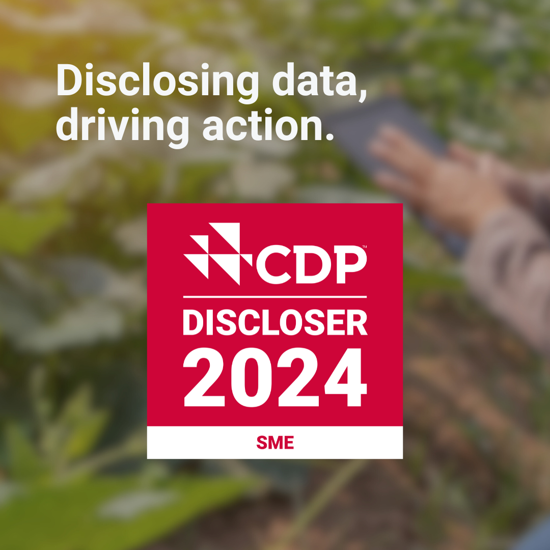 Discloser_2024_-_graphic_-_SMEs_2.png